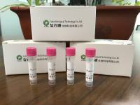 支原体检测试剂盒