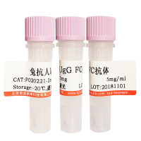 Alexa Fluor 488标记山羊抗小鼠IgG(H+L)