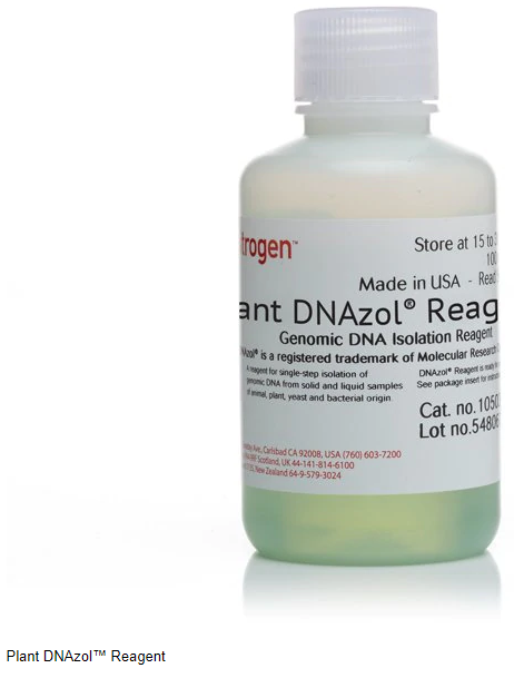 Invitrogen™ Plant DNAzol™ Reagent  10978021