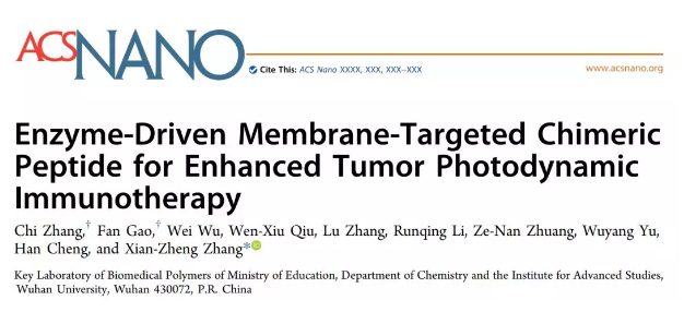 文献解读|基于细胞膜靶向肽的增强型光动力学疗法