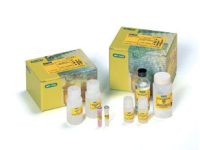 BIO-RADReadyPrep™ 蛋白萃取试剂盒(细胞质/原子核)1632089