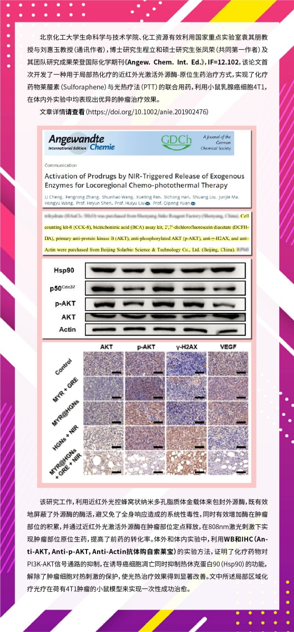 索莱宝抗体产品荣登国际化学期刊《Angew. Chem. Int. Ed.》
