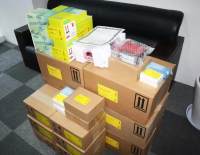 bio-rad伯乐小型垂直电泳转印套装1658033