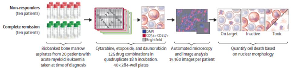 CAR-T 研究前沿应用｜珀金埃尔默与您相约第十九届中国生物制品年会（CBioPC2019）
