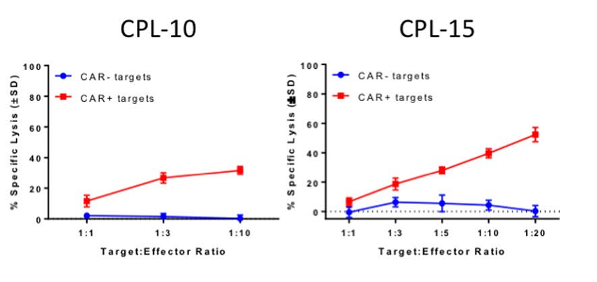 CAR-T 研究前沿应用｜珀金埃尔默与您相约第十九届中国生物制品年会（CBioPC2019）