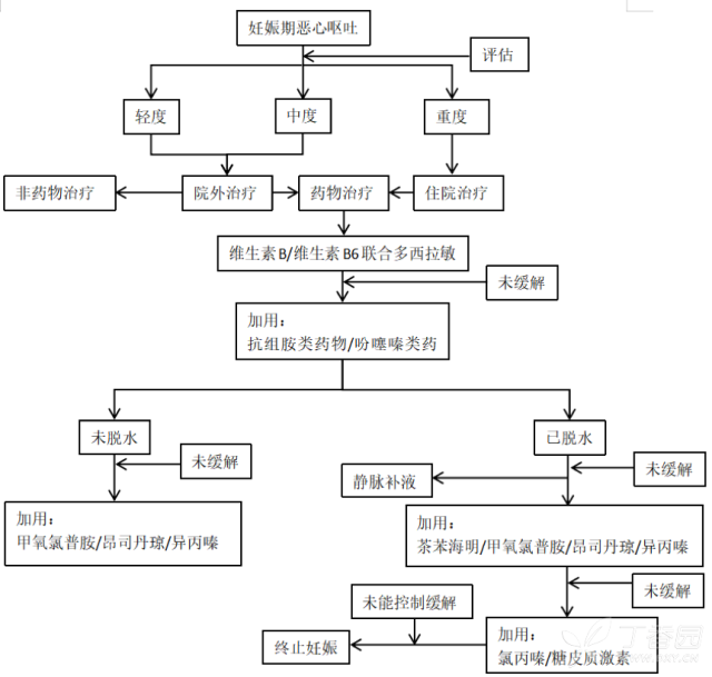 妊娠剧吐 这有一份治疗说明书给你 丁香园