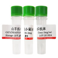 Cy5标记羊抗人IgG二抗北京品牌