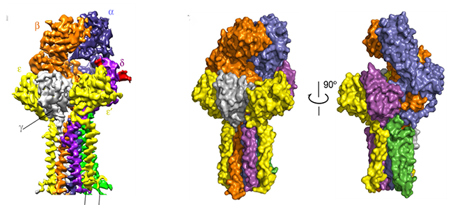 多篇Nature及其子刊文章中发现义翘神州的产品