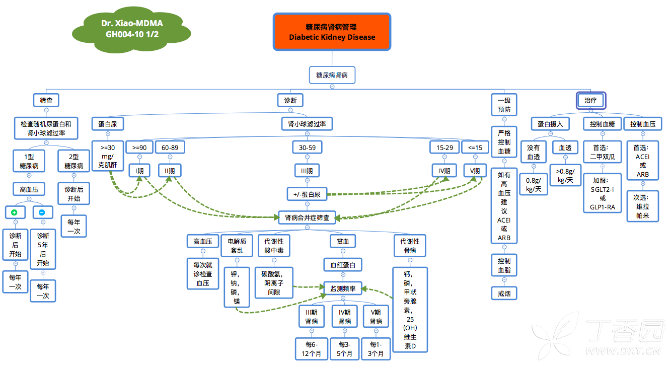 糖尿病腎病臨床決策思維導圖(dr. xiao-mdma之gh004-10)