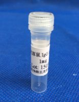 兔抗豚IgG免疫血清