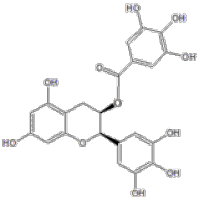 989-51-5表没食子儿茶素没食子酸酯