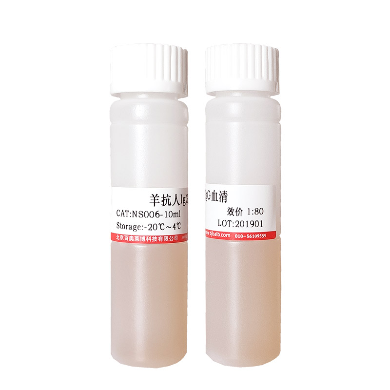 特级马血清报价