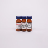 PHA-P 植物血球凝集素P