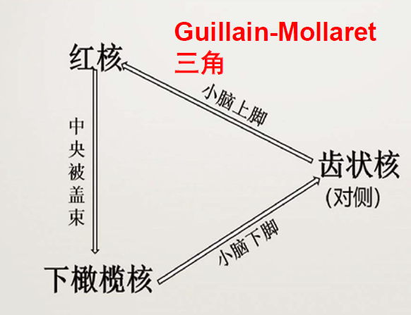 注射药液什么物理原理_物理手抄报(2)