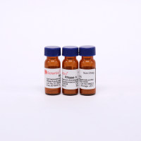 RNase A 核糖核酸酶A