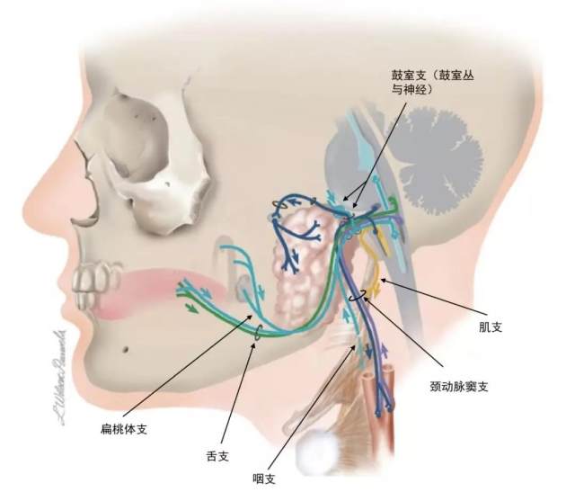 微信图片_20191117191105.jpg