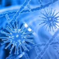 免疫系统类模型的构建