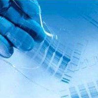 染色质免疫沉淀