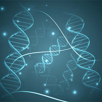 基因克隆与定点突变