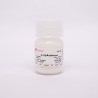 L-Arabinose L-阿拉伯糖
