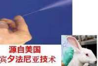 家兔气管给药雾化器