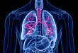 全球首个一天一次用于稳定期慢阻肺治疗的三联吸入制剂在中国获批
