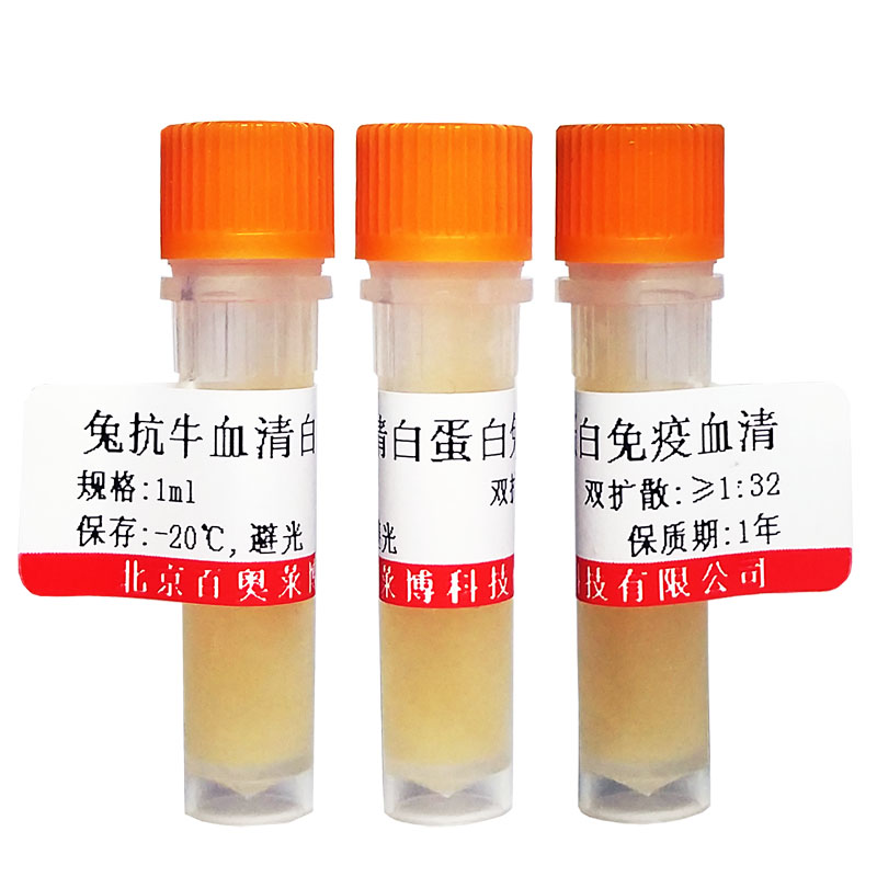 FITC标记大鼠抗小鼠CD4抗体北京厂家