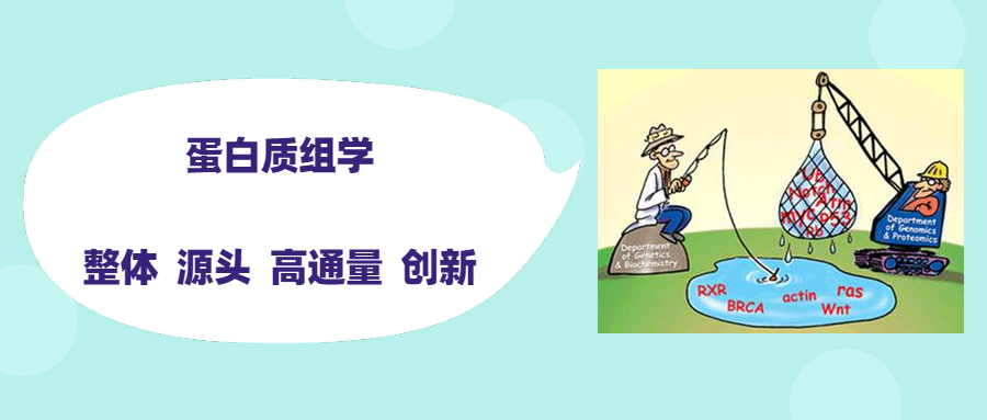 新闻图片5