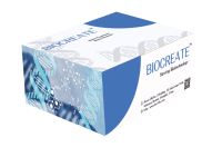 BIOCREATE磁珠产品—NGS文库制备更高效
