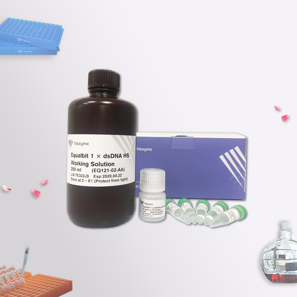 Equalbit?1 × dsDNA HS Assay Kit （雙鏈DNA熒光定量檢測試劑盒）（EQ121）