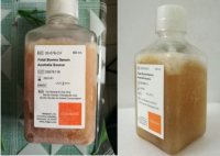 Corning胎牛血清35-010-CV