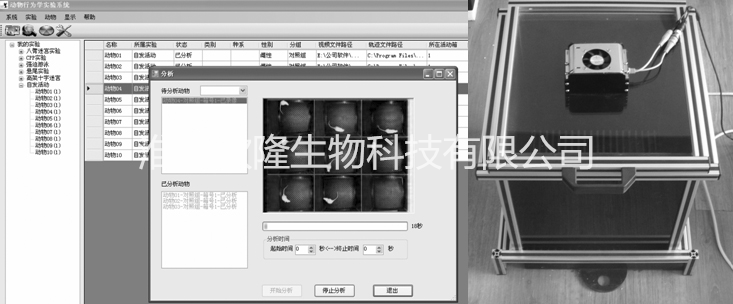 ZH 安徽正华 小鼠实验跑台 自发活动视频分析系统  小动物活动记录仪