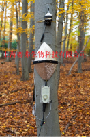 植物径流仪 (针入式EMS 81)