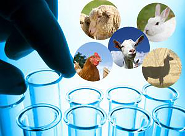 单克隆抗体制备哪家强？核心技术是关键