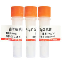 HRP标记羊抗小鼠IgG北京厂家