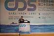 CDS2019 | 孙子林教授：基层糖尿病早期识别技术
