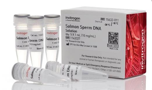 UltraPure™ Salmon Sperm DNA Solution
