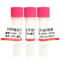 FITC标记牛血清白蛋白(BSA-FITC)