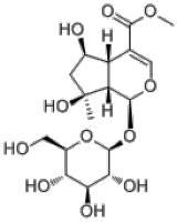 64421-28-9山栀苷甲酯