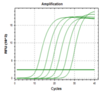 Stem-loop miRNA qPCR SYBR Kit