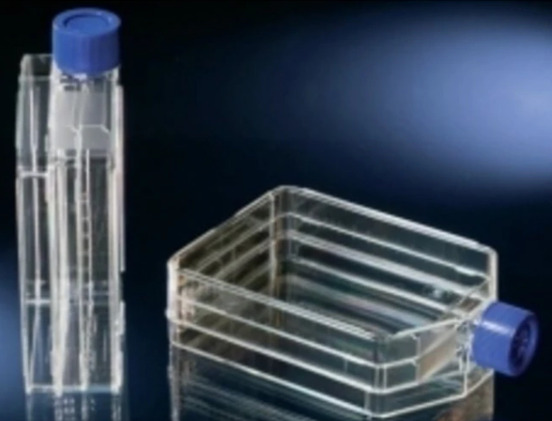 Thermo Scientific™Nunc™ TripleFlask™ 经细胞培养处理的培养瓶 132913