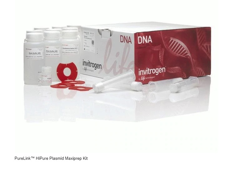 Invitrogen™ PureLink™ HiPure Plasmid Maxiprep Kit   K210007