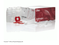Invitrogen™ PureLink™ HiPure Plasmid Maxiprep Kit K210007