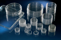 Thermo Scientific™ Nunc™ 细胞培养皿/皮氏培养皿