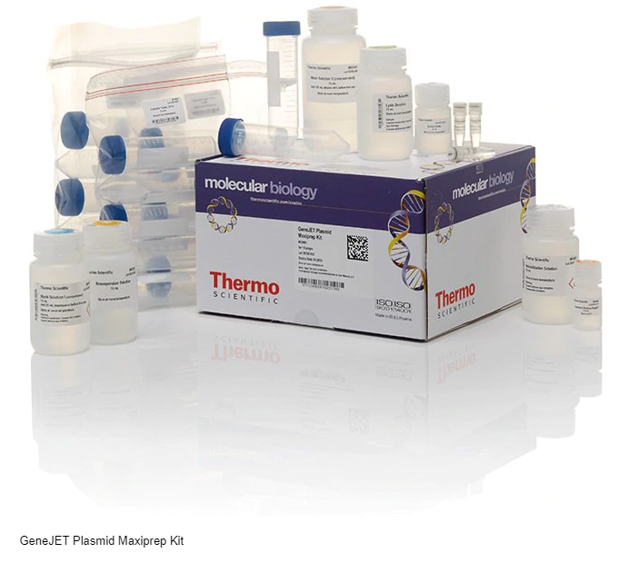 Thermo Scientific™ GeneJET Plasmid Maxiprep Kit K0491