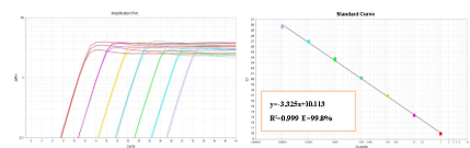 2× Robust Probe qPCR ProMix With High ROX 