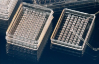 Thermo Scientific™ Nunc™ Nunclon MiniTrays 微型滴定盘 136528