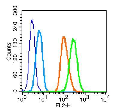 血型糖蛋白A/涎糖蛋白抗体