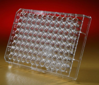 Thermo Scientific™ Pierce™ 96-Well Polystyrene Plates, Corner Notch 15041