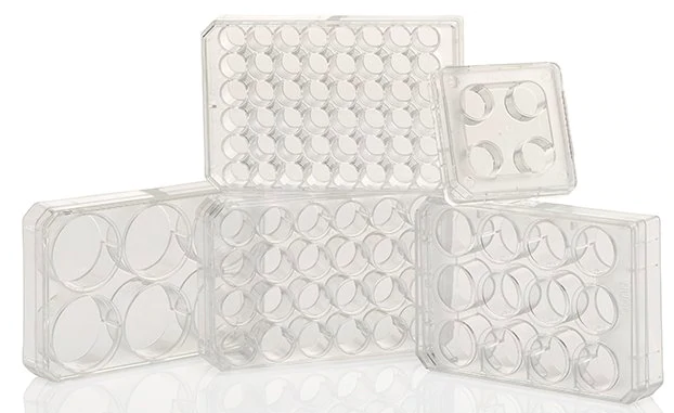 Thermo Scientific™ Nunc™ Cell-Culture Treated Multidishes, 4 well  	167063